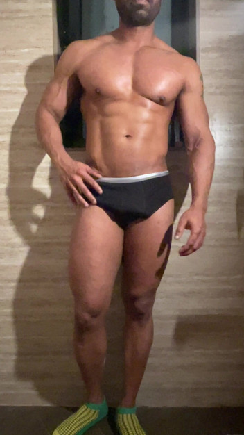Muscular Bull