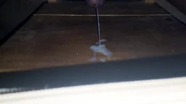 Compilação de Ejaculações. É fogo