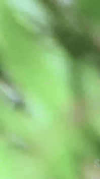 海滩荡妇 Beata 独自在沙丘里