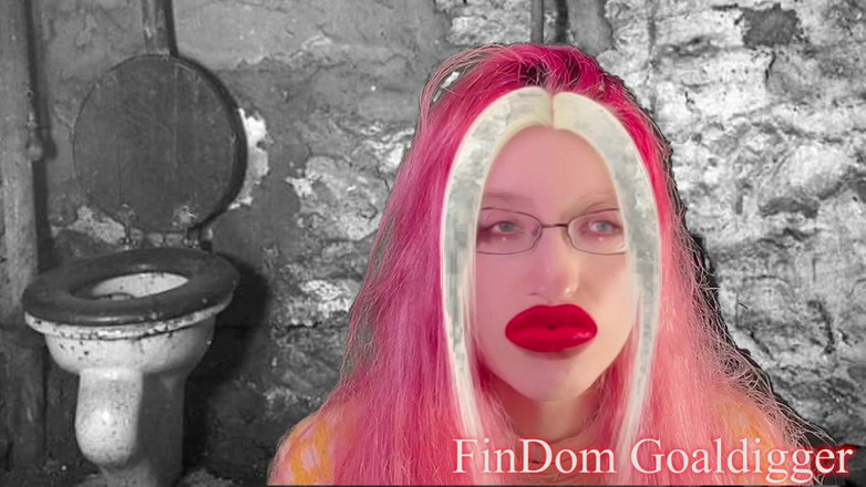 FinDom Goaldigger: Gold toilet transformation
