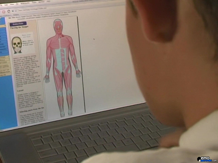 Homo Emo: Horny Boys Biology Lessons