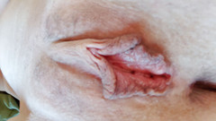 Aurora Willows: Nyepong bibir memek tebalku