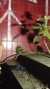 Fast Food Security Guard Paying for a Blowjob From a Well-endowed Customer.