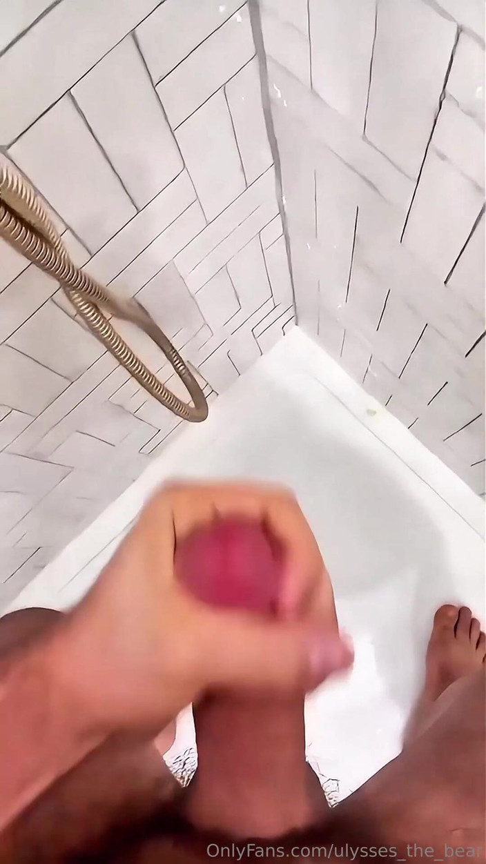 Ulysses the bear: Harde lading na een lange dagdat de dag eindigt