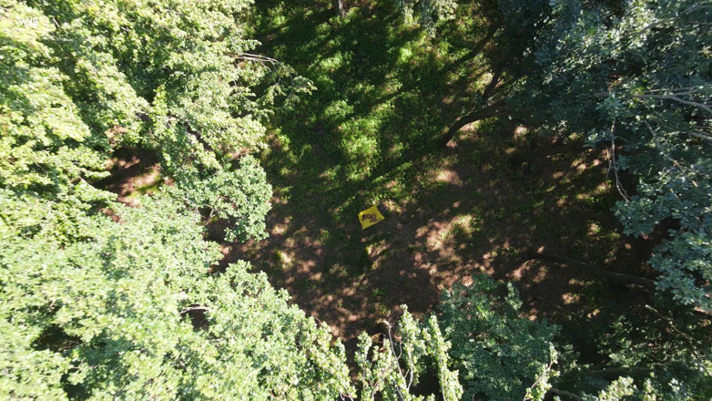 Watch4beauty: Forest Story mit Agatha Vega