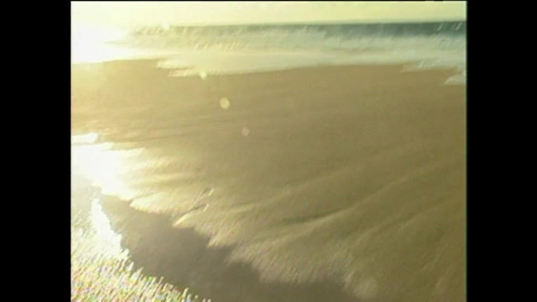 Vintage Usa: Sex on the Beach for a Young Skinny Brunette with...