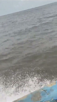En resa genom havet