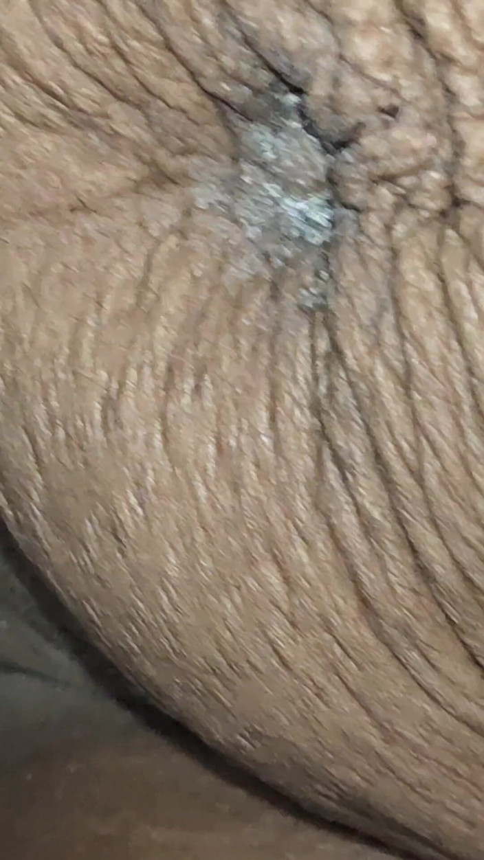X videos: 義理の妹ディープスロートと義理の兄弟との関係