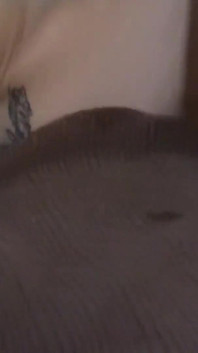 Giving Him a Swollen Asshole