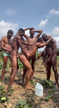 The Corn Shoot Surprise Everyone Is Talking About