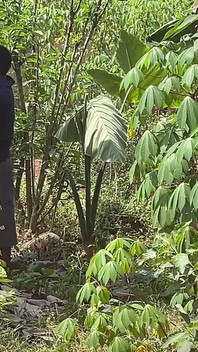 Hãy nhanh chóng để không ai bắt gặp chúng tôi (đằng sau hậu trường)