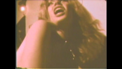 Vintage Usa: Pies w rui