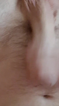 Hot Anal Toy