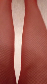 Lady in Red