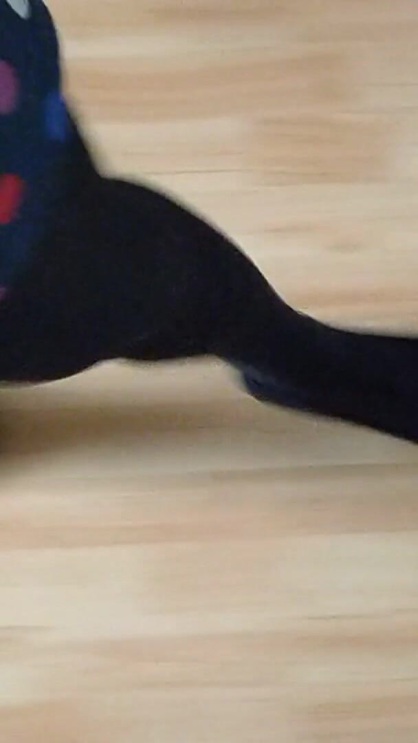 Cute Legs (Joslin Brooks) Cute Legs (Joslin Brooks)