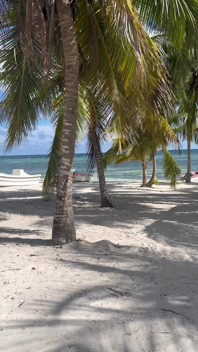  K 18 productions Video