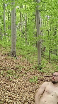 I Chase Him Through the Leaves