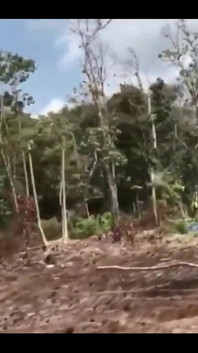 Perjalanan dan ngentot pasangan kamboja