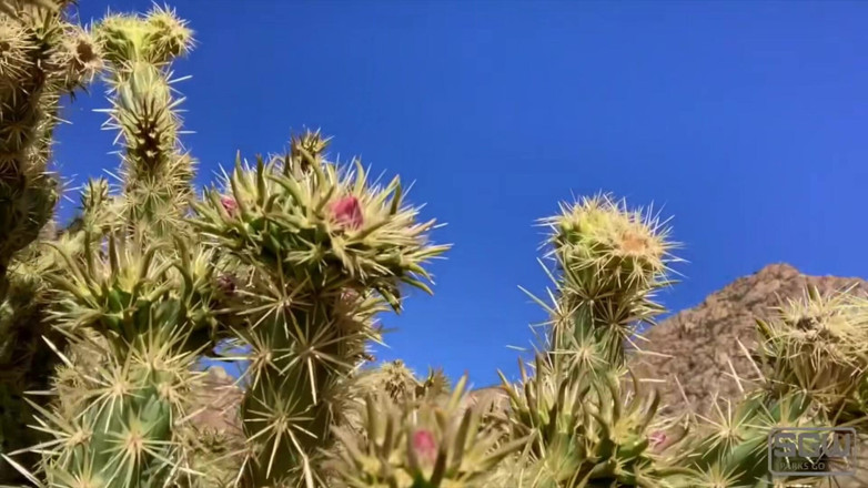 Sparks Go Wild: Drumeții în tanga și futai în Red Rock Canyon
