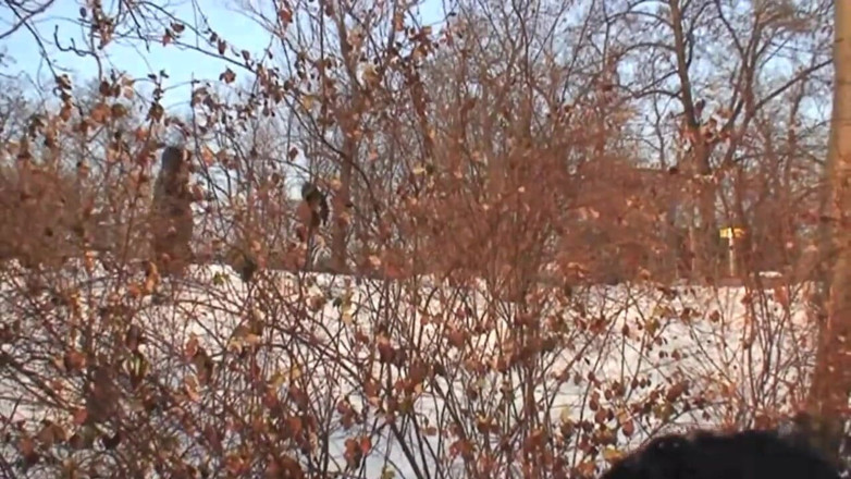 Out Sexxx: Wild sex outdoor for a sexy brunette