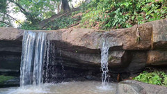 BMCs: Purro cennetinde istenen ıslak doğayla temas