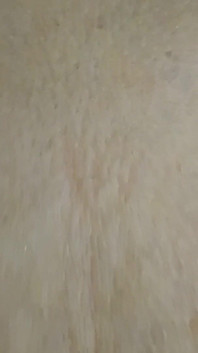 My Wife Sexual XXX
