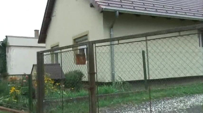 Popp Sylvie: Popp Sylvie is secretly in the neighbor's backyard