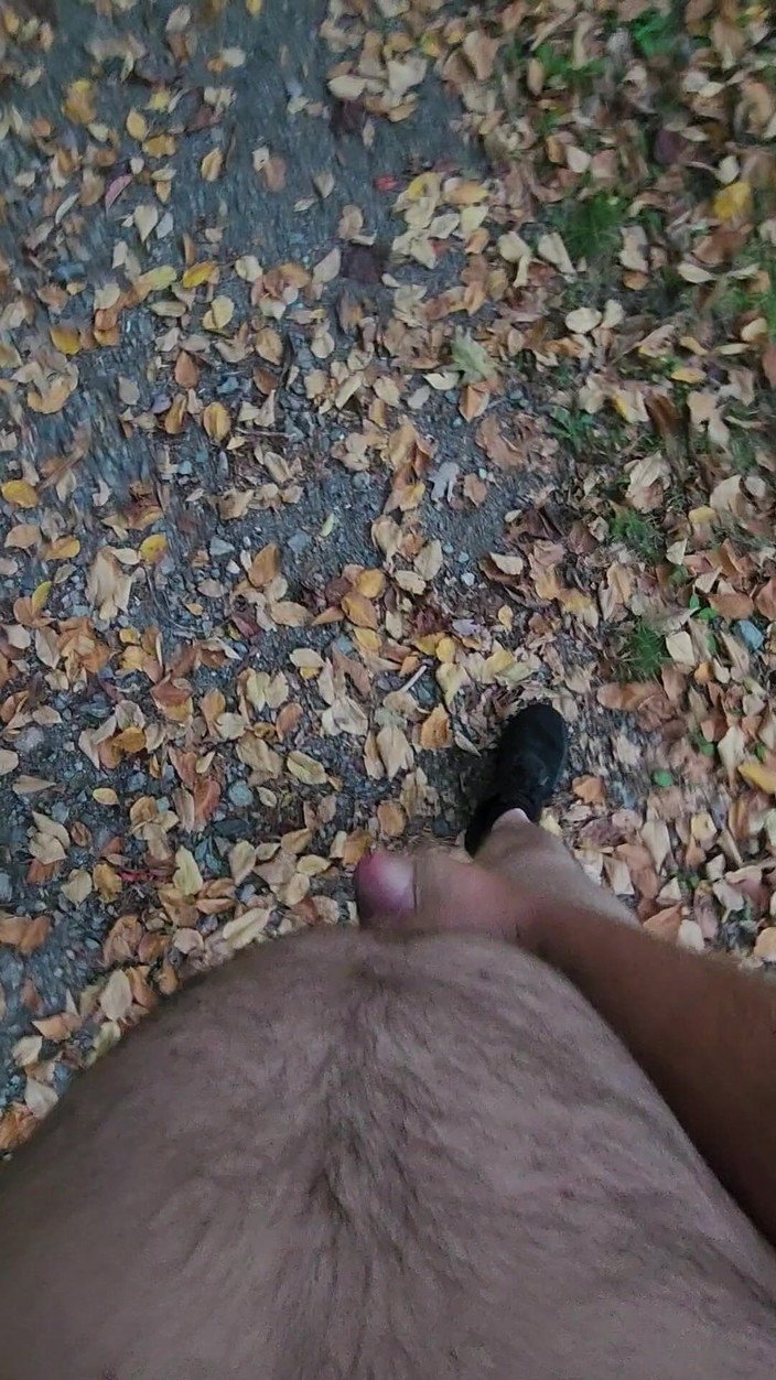 Djk31314: Пошел на раннюю утреннюю прогулку.