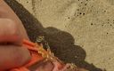 Real fun &amp; fetish: Külotu kumlu teşhirci kız plajda işiyor