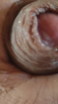 Der schüchterne opa lässt den schwanz ein bisschen wasser werden.