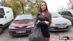 Sbalená a opuštěná - Breedbus