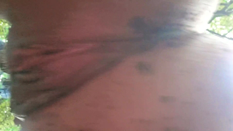 Mania Pigmilk: Brudna cipka w lesie Extreme Zbliżenie