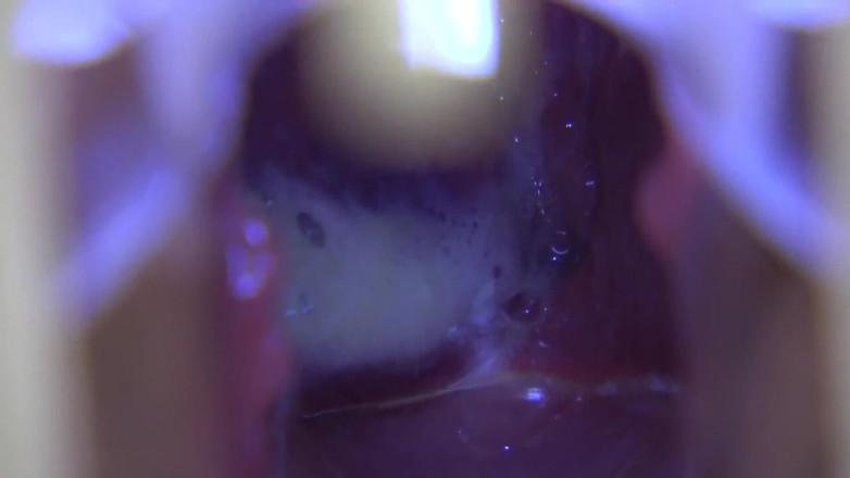 Temptation: アジアの天使 17419