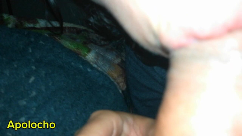 ApoloCho: 我把我的生命交给她