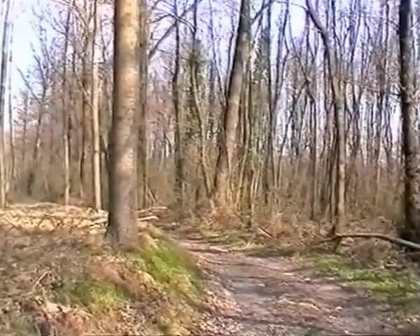 GERMAN PORN CLASSICS: Fucking Outdoors