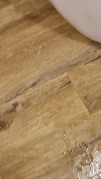 Swingersvrouw vond een nieuwe vriendin uit de hotelbar en ze zuigen later samen de lul van haar man in hun kamer
