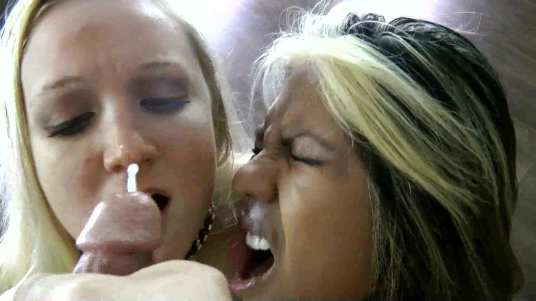 Suck Sluts and Blowjob Bitches: Hamba blonde dan Latina menghisap zakar bersama