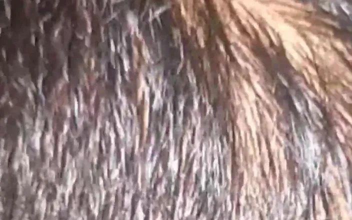 smtshukla: On New Year's Eve, I Fucked My Old Lover Fiercely...