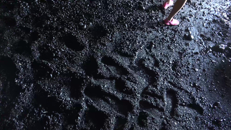 ATK Girlfriends: 당신은 하루 동안 비나를 데리고, 그녀는 당신을 괴롭히는 것에 관한 것입니다.