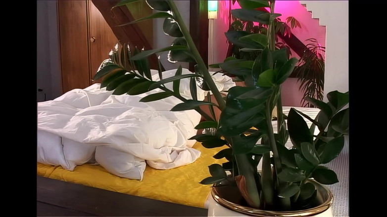 Erotic Planet Studio: Kompilacja, sikanie i pieprzyć gry na zewnątrz lub w wannie
