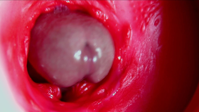 SEXY_GUYBEST: Juicy Beautiful Pussy Squelches Inside Asmr Close-up Inside the Anus