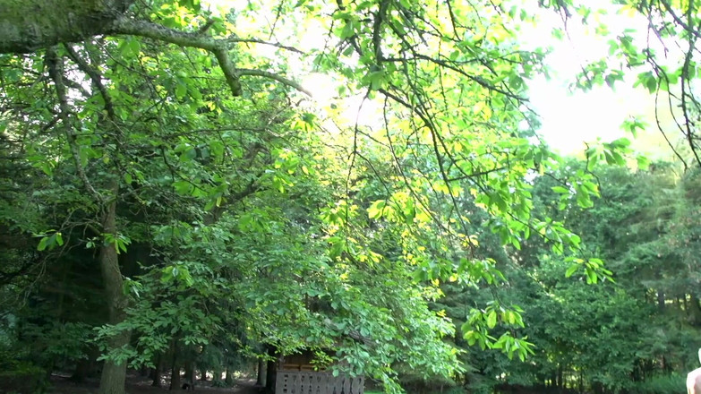 German Porn: Татуированная Крошка-блондинка На Уличном Празднике Траха С Двойнным Проникновением