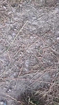 Açık Havada Boşalma, Mastürbasyon, Mastürbasyon, Götten Sikiş