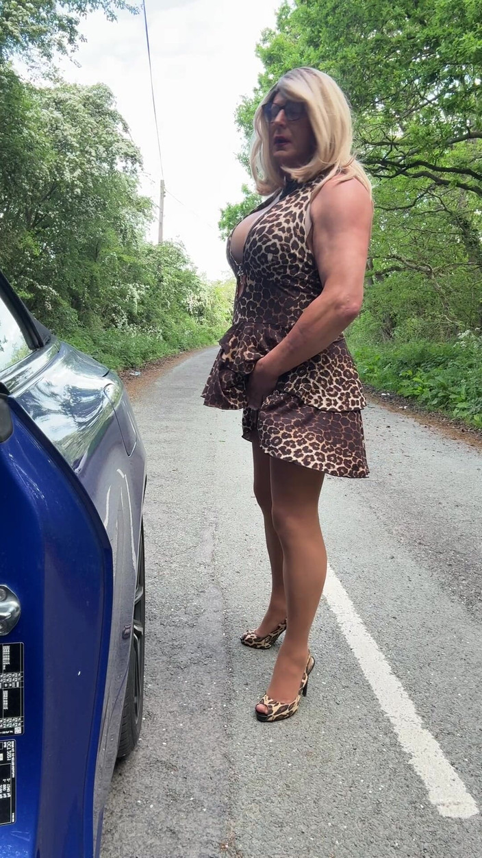 Kellycd2022: 穿着我的豹纹印花连衣裙和无缝连裤袜的性感 crossdresser Kellycd2022 享受午后乘车