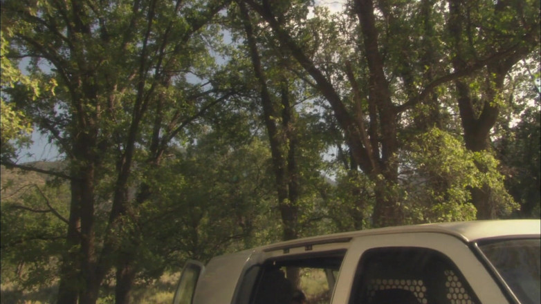 CBD Media: Married guy takes slim body gorgeous teen outdoor and licks...