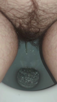 Pee Pissing in the Toilet