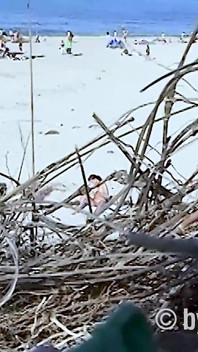 Beach Girl Barbetta Gets Naked in the Bushes