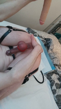 Anal Play