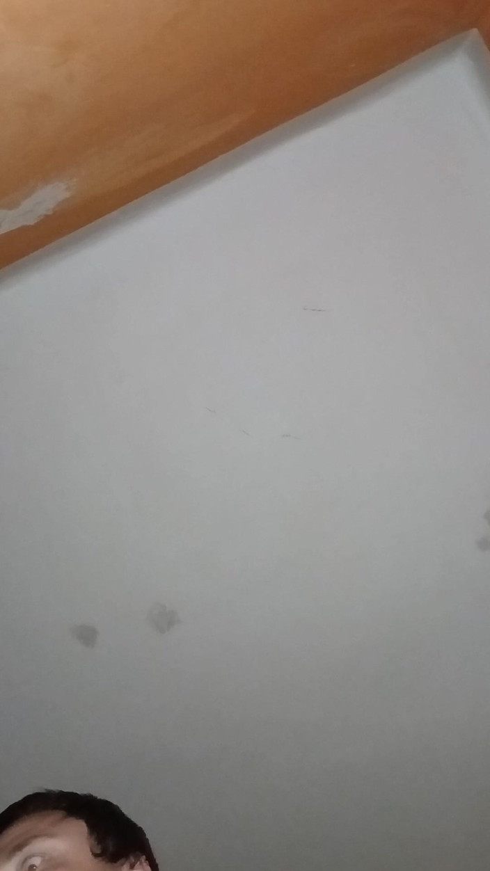 frapla: Sexpuppen amateur