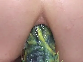 Mashayang: Anal Stretch with My Dragon Dildos